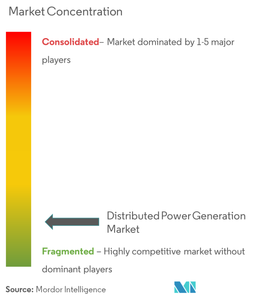 Distributed Power Generation Market Concentration